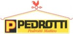 http://www.pedrottimatteo.it